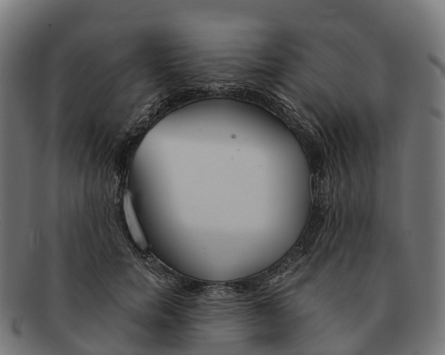 X0000091680750200709131547