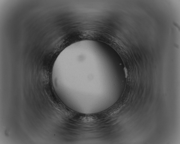 X0000091680751200709131547