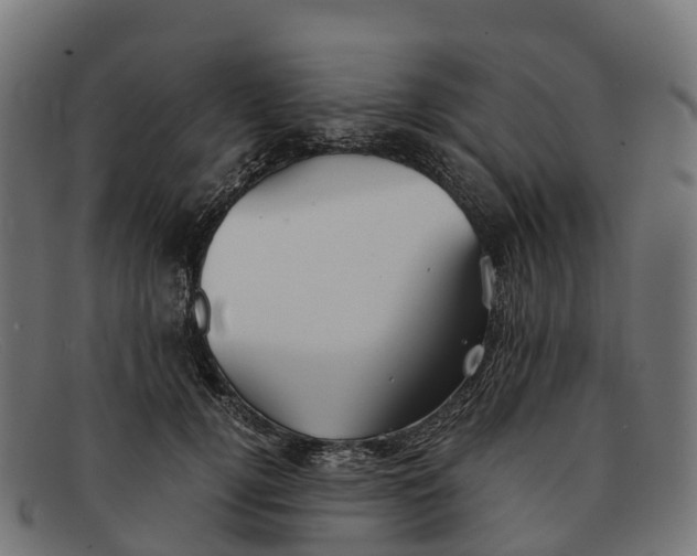 X0000091680752200709131547