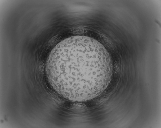 X0000091680753200709131547