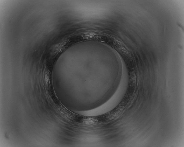 X0000091680754200709131547