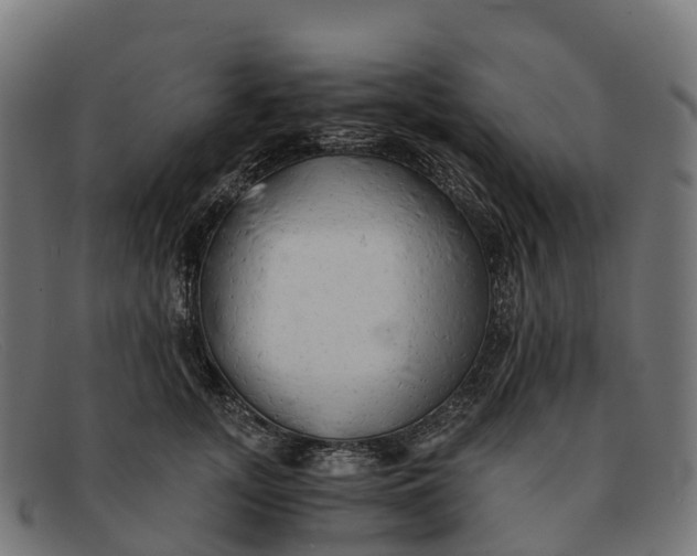 X0000091680755200709131547