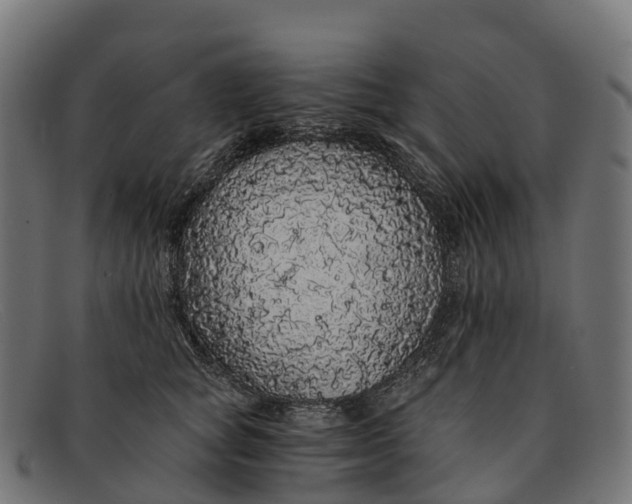 X0000091680757200709131547