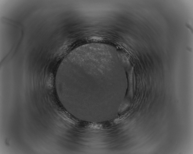 X0000091680760200709131547