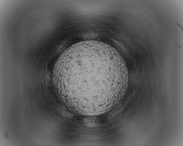 X0000091680761200709131547