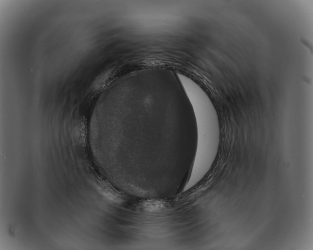 X0000091680762200709131547