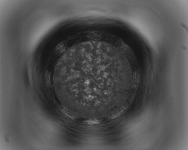 X0000091680765200709131547