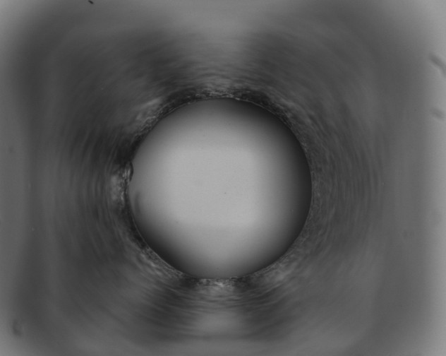 X0000091680768200709131547