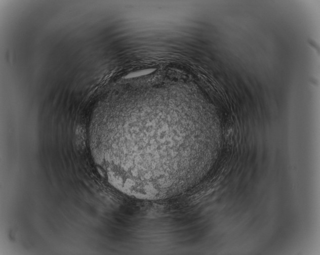 X0000091680772200709131547