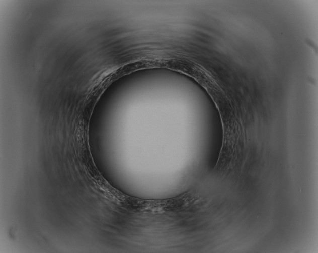 X0000091680773200709131547