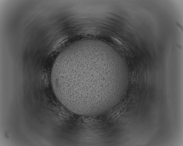 X0000091680774200709131547