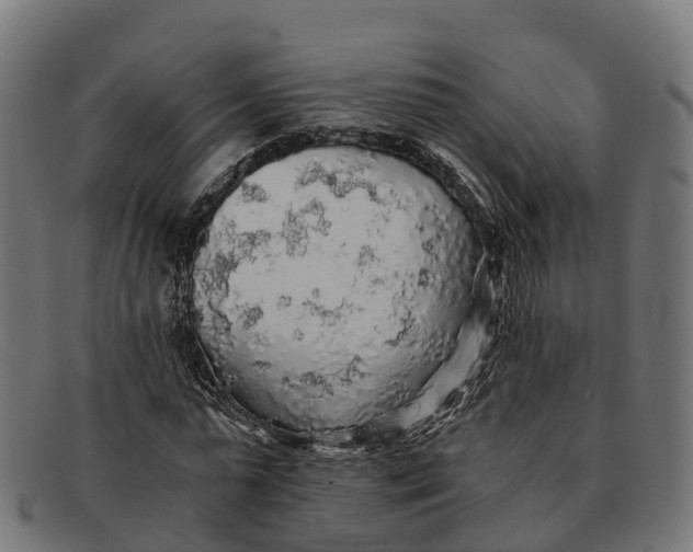 X0000091680775200709131547