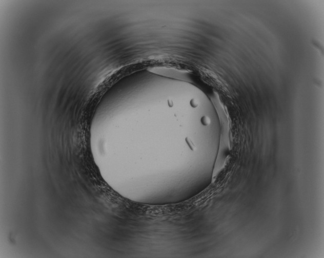 X0000091680776200709131547