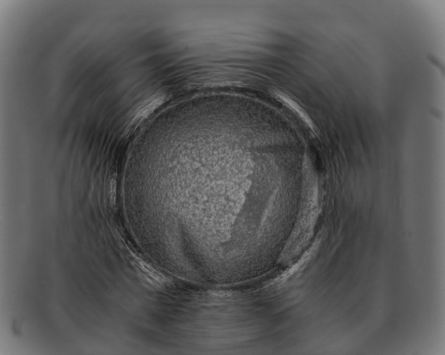 X0000091680777200709131547