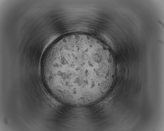 X0000091680780200709131547