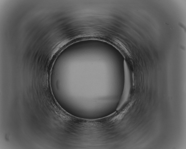 X0000091680781200709131547