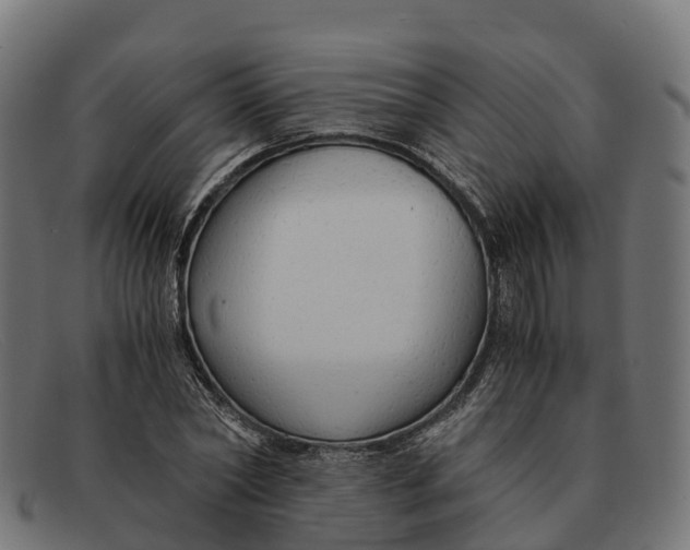 X0000091680782200709131547