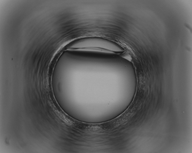 X0000091680784200709131547