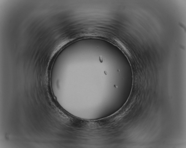 X0000091680787200709131546