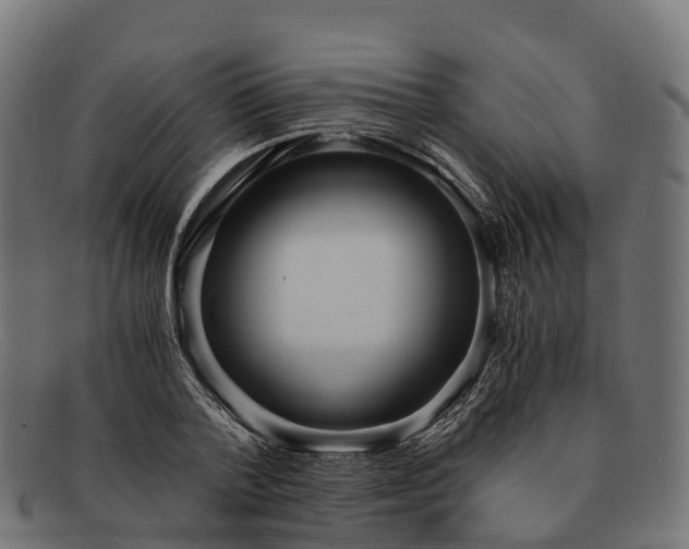 X0000091680788200709131546