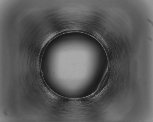 X0000091680789200709131546