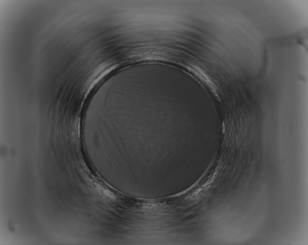 X0000091680790200709131546