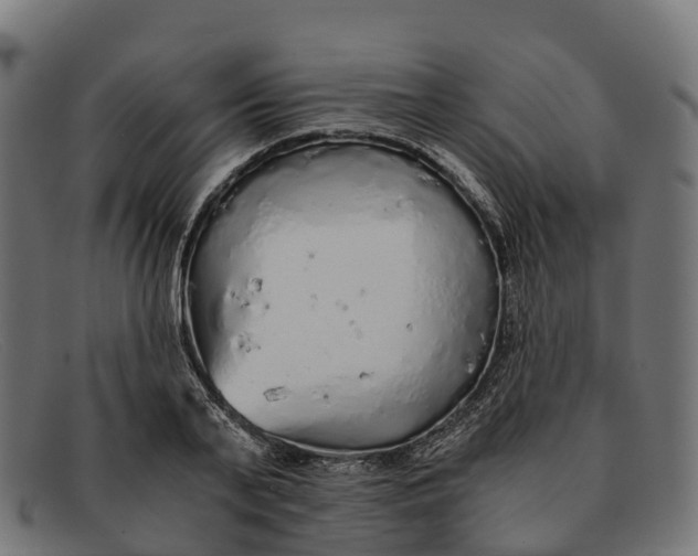 X0000091680791200709131546