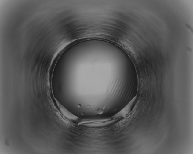 X0000091680792200709131546