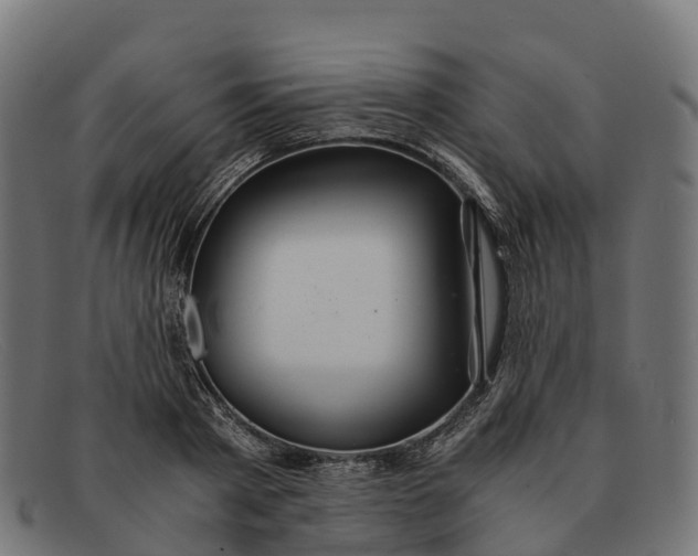 X0000091680793200709131546