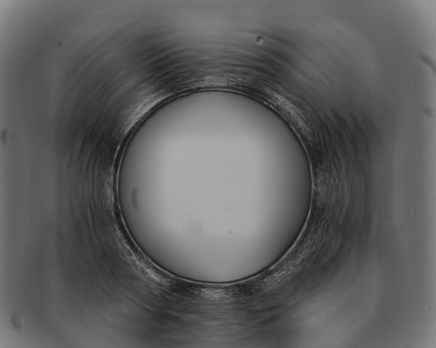 X0000091680794200709131546