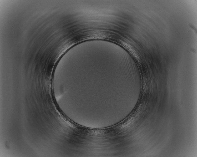 X0000091680802200709131546