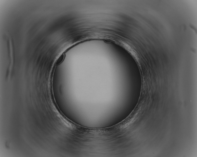 X0000091680803200709131546