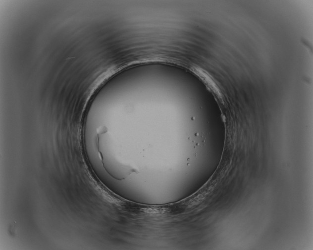 X0000091680805200709131546