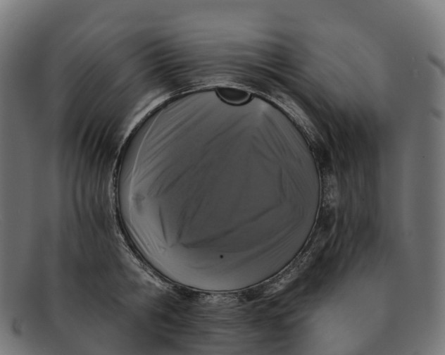 X0000091680806200709131546