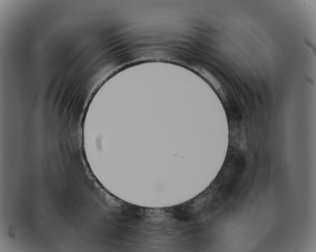 X0000091680807200709131546