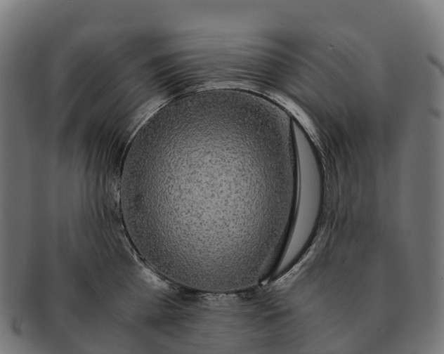 X0000091680809200709131546