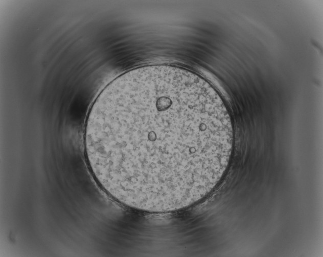 X0000091680810200709131546