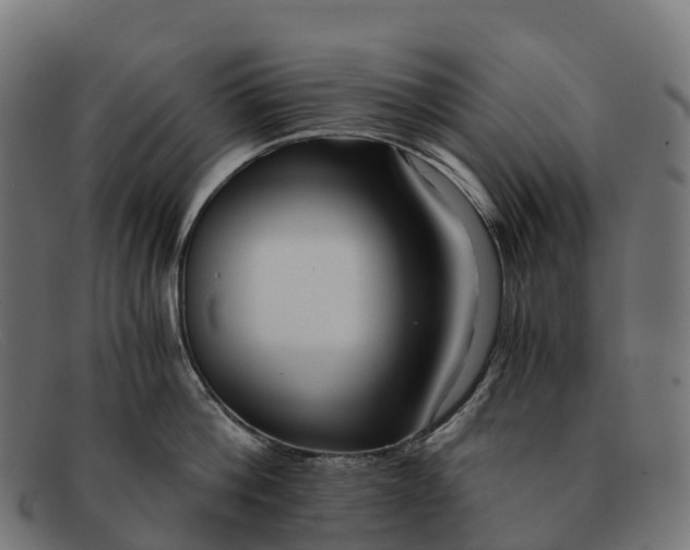 X0000091680812200709131546