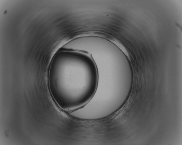 X0000091680813200709131546