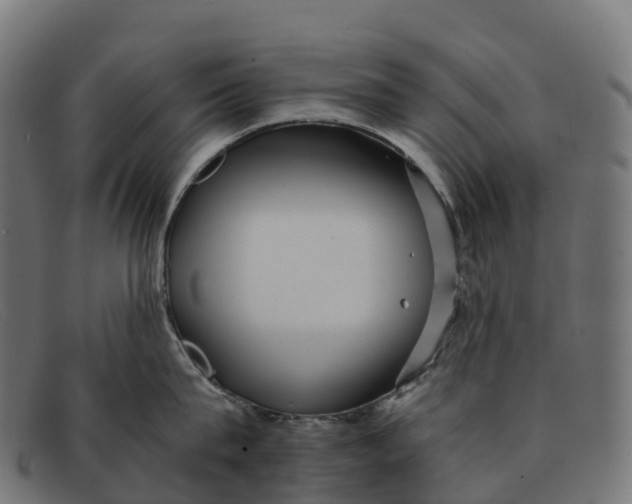 X0000091680815200709131546