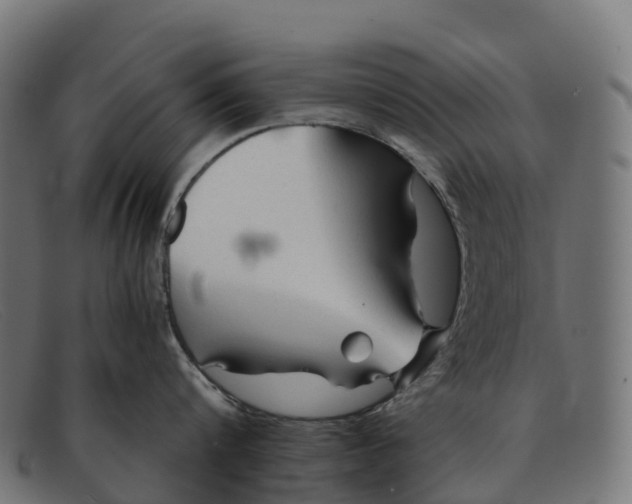 X0000091680816200709131546