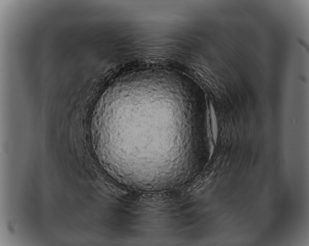 X0000091680817200709131546