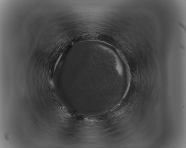 X0000091680818200709131546