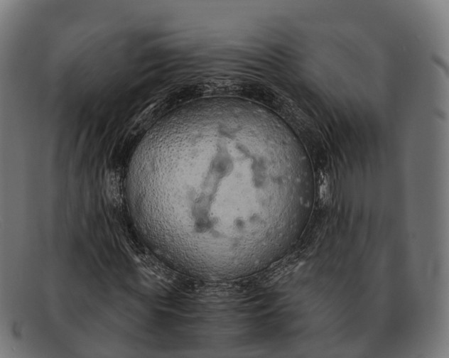 X0000091680819200709131546