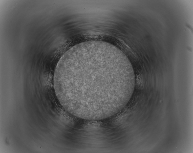 X0000091680820200709131546