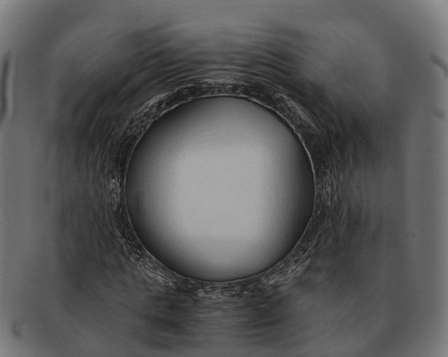 X0000091680821200709131546