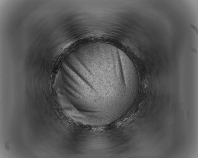 X0000091680822200709131546