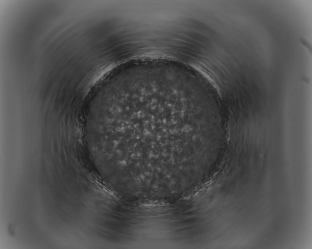 X0000091680823200709131546