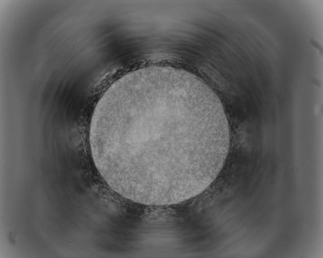 X0000091680824200709131546