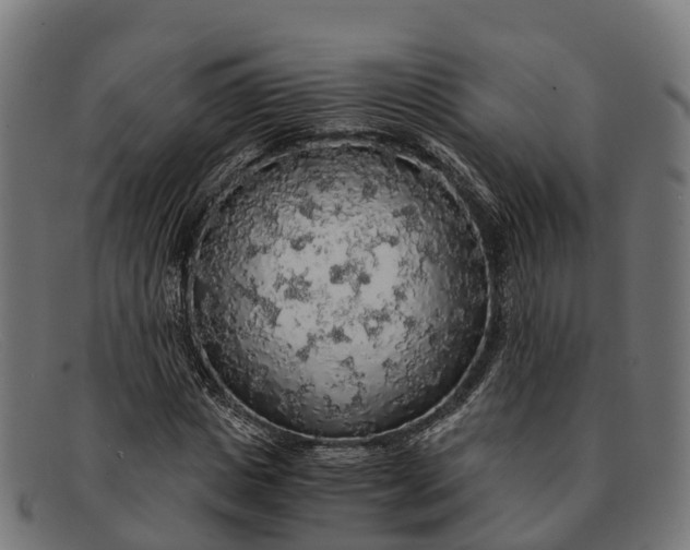 X0000091680825200709131546